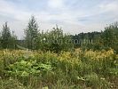 Участок 4 сотки