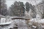 Участок 10 соток