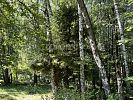 Участок 17 соток