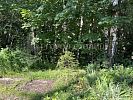 Участок 4 сотки