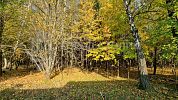 Участок ИЖС 16,42 соток 16 соток