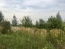 Участок 4 сотки