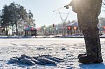 Участок 10 соток
