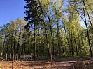 Участок 7 соток